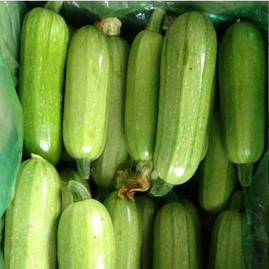 筍瓜/西(xī)葫蘆/生(shēng)瓜