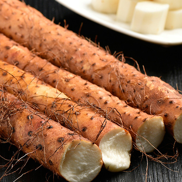 鐵(tiě)杆山(shān)藥