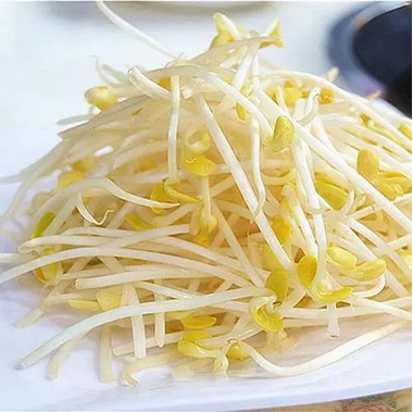 黃(huáng)豆芽